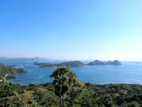 Pemandangan dari atas bukit (Shafa/detikTravel)