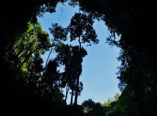 Pemandangan dari perut gua (dhave29.multiply.com)