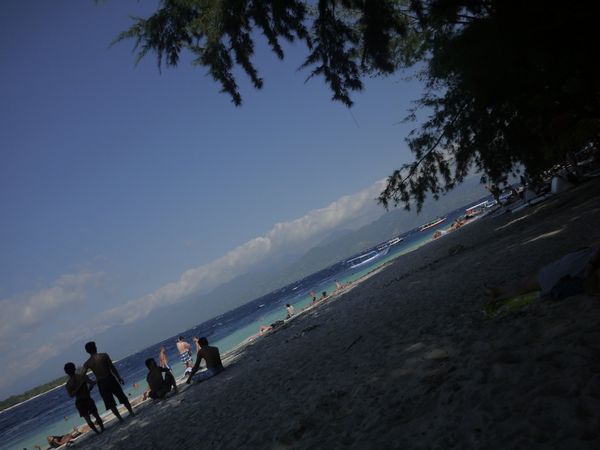 Tidak ingin terlalu panas, berteduh di bawah pohon bisa jadi alternatif menikmati pantai (Resha/detikSport)