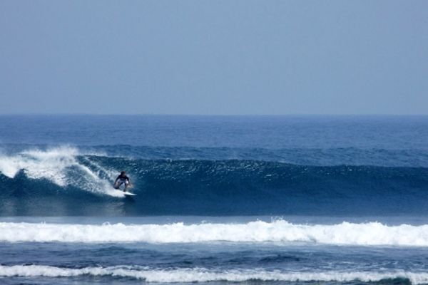 Tingginya ombak di Pantai Tanjung Setia memberikan pesona dan daya tarik untuk pecinta surfing (tourismindonesiaonline.com)