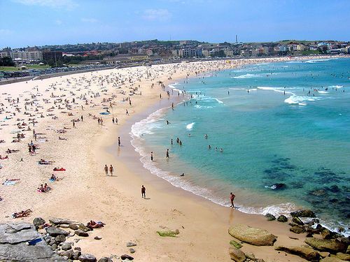 Pantain Bondi (katzatbondibeach.com.au)