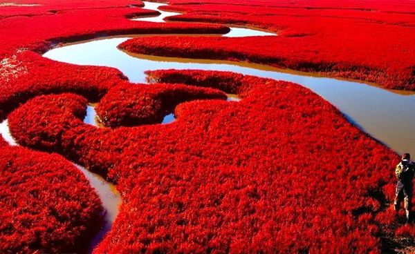 Pantai Merah (sumber: skybambi.wordpress.com)