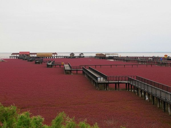 Pantai Merah (amusingplanet.com)