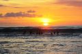 Suasana sunset di Pantai  Kuta (Desi/detikTravel)