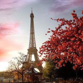 Beautiful photo of the Eiffel tower in Paris