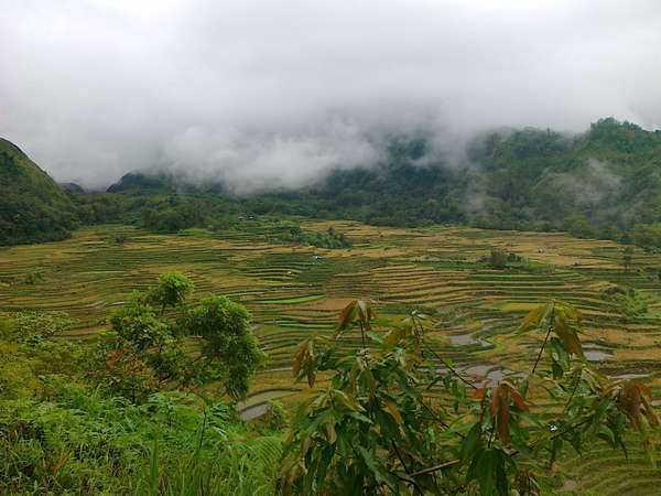 Kabut yang menyelimuti Malino (Misbah/dtraveler)