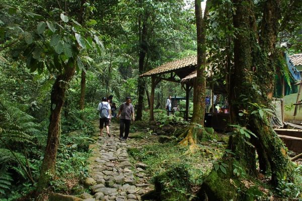 Akses jalan menuju air terjun (pbase.com)