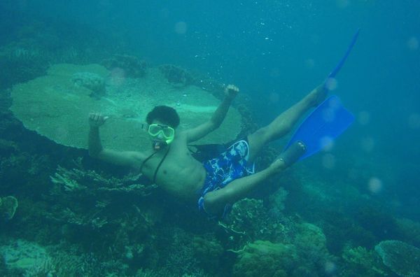 Saat free dive kami menemukan karang yang berbentuk seperti jamur raksasa