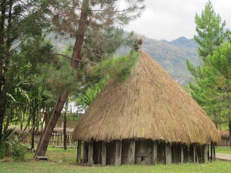 Mengintip Keunikan Honai, Rumah Adat Suku Dani