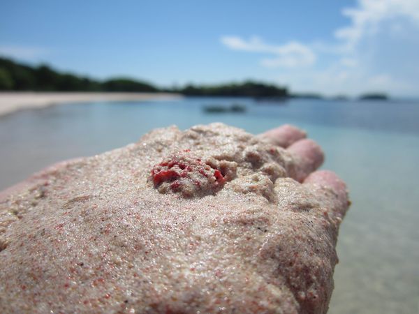 Tangsi, Pantai Cantik Berpasir Pink di Lombok Img_20121009235132_5074561460242