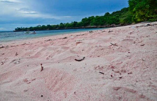 Tangsi, Pantai Cantik Berpasir Pink di Lombok Img_20121010000109_5074585502ec9