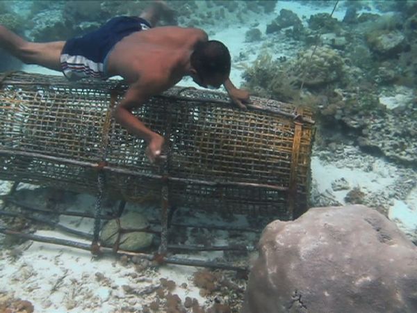 Peletakkan bubu harus diletakkan di tempat yang tepat