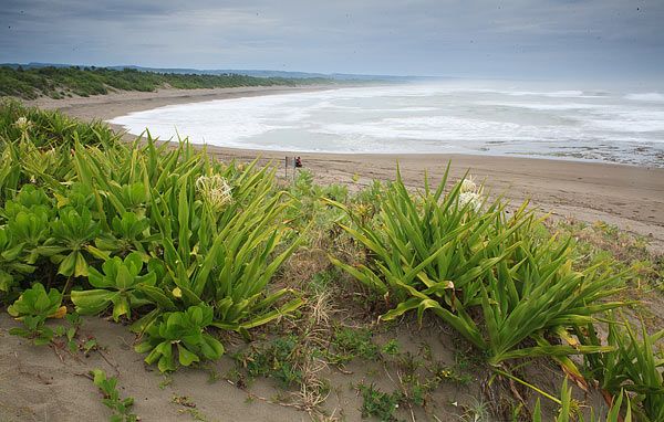 Pantai Sayang heulang