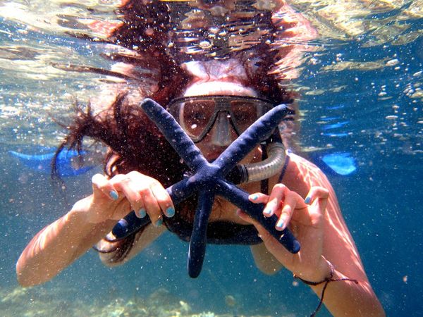 Snorkeling Keren di Pulau Menjangan, Bali Img_20121022213456_508559907890d
