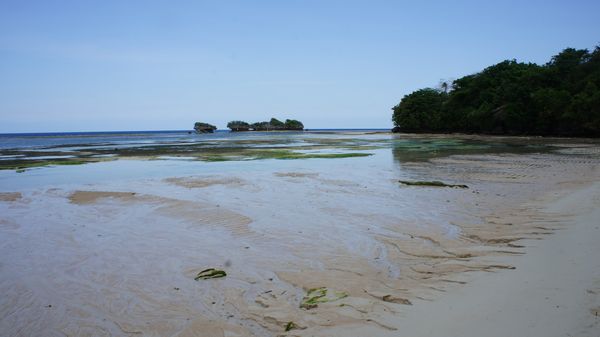 Pantai Ini Punya Ratusan Mata Air Tawar - Wakatobi Img_20121031190359_509113af493c5