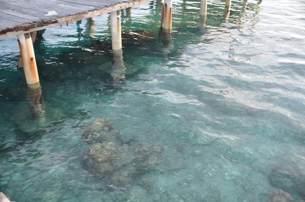 Batu karang dengan air laut biru