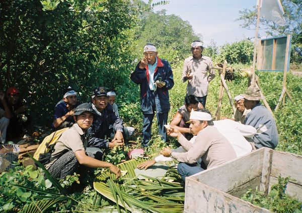 Melihat Ritual Penduduk Lokal di Pulau Enggano Img_20121108104325_509b2a5defde1