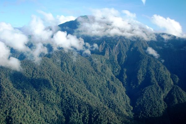 Barisan pegunungan hijau menuju puncak Cartenz (foto: Keken/detikTravel)