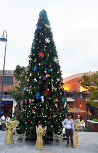 pohon natal