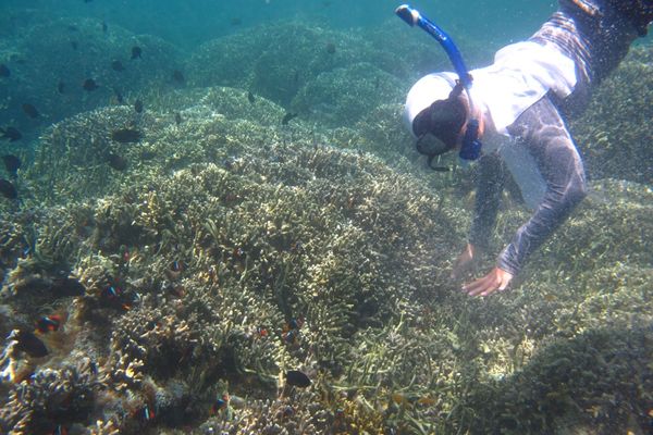 Diriku bersama kumpulan Nemo