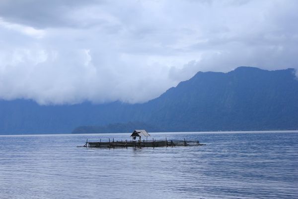 Danau Meninjau menyejukkan hati