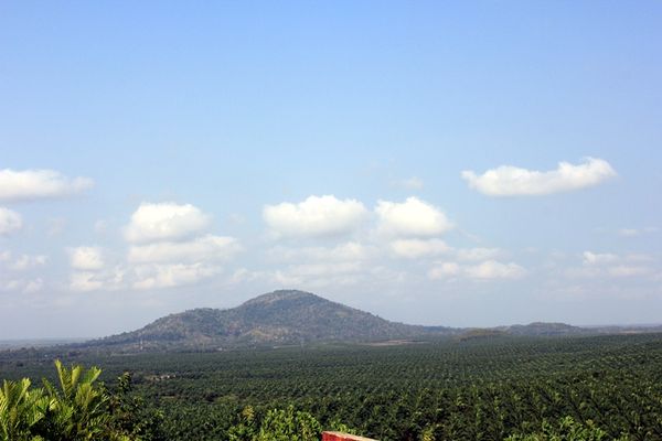 Pegunungan dan kebun kelapa sawit di kejauhan