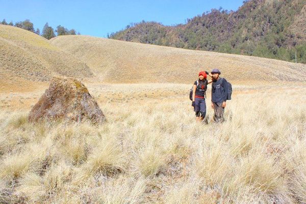 Sabana eksotis yang cantik mengelilingi Ranu Kumbolo