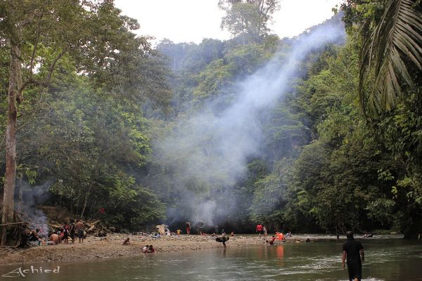 Download this Sungai Buluh Tangkahan picture
