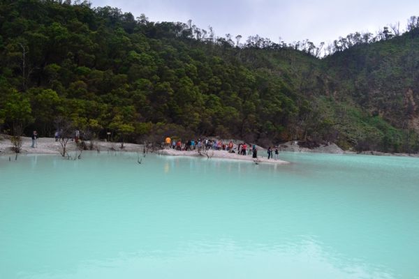 kawah putih, hijau tosca ferform