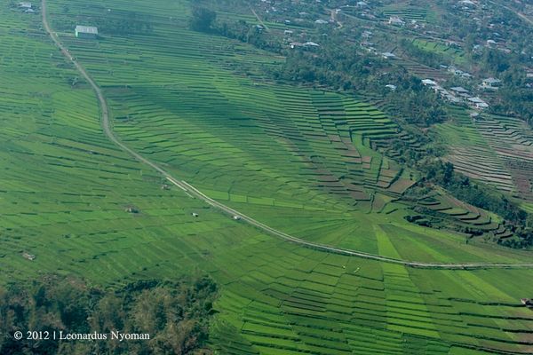 paket wisata wali songo