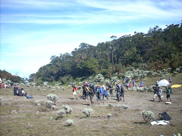 Lembah Mandalawangi.jpg