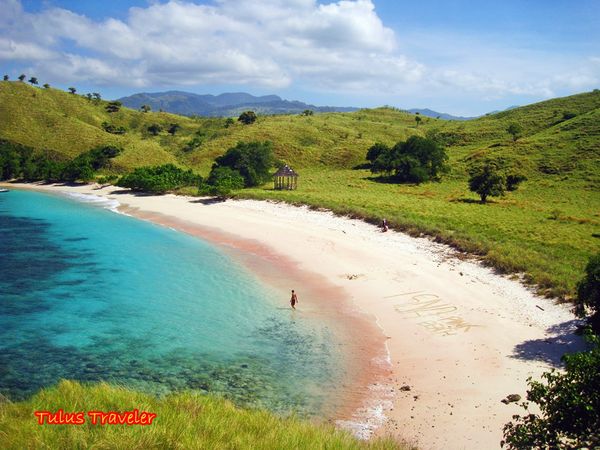 Pantai Pink di Pulau Komodo, Bikin Jatuh Hati! Img_20130715072116_51e3407c3c987