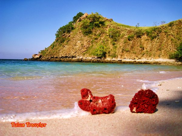Pantai Pink di Pulau Komodo, Bikin Jatuh Hati! Img_20130715074114_51e3452abeaaa