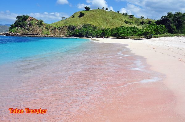 Pantai Pink di Pulau Komodo, Bikin Jatuh Hati! Img_20130715074208_51e34560cb058