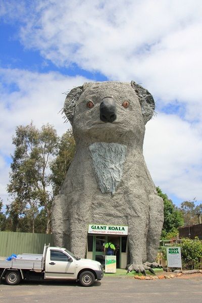 The Giant Koala, Australia