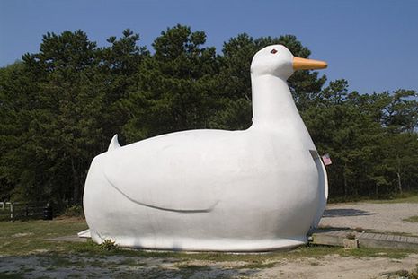 The Big Duck