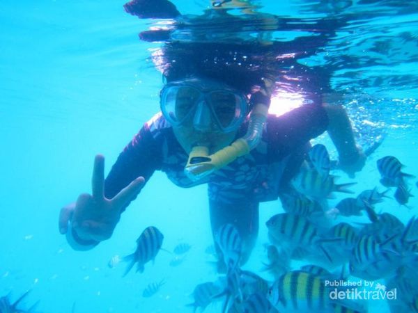 Snorkeling di pulau bintang rama
