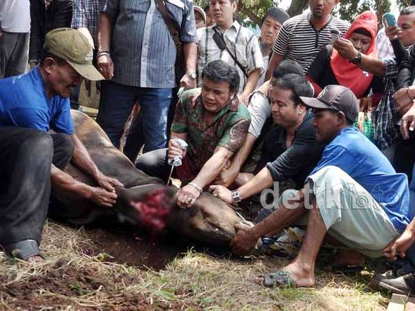Rhoma Irama Berkurban Rhoma Irama Berkurban