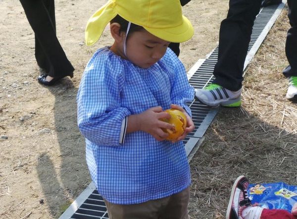 Wajah Imut Anak-anak TK Jepang Belajar Petik Jeruk 105313_tk4
