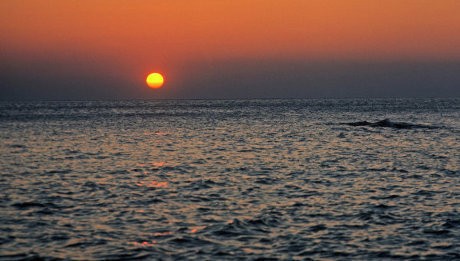 Ini Penjelasan Lengkap BMKG Soal Fenomena Surut di Laut Karangantu Banten Ini Penjelasan Lengkap BMKG Soal Fenomena Surut di Laut Karangantu Banten