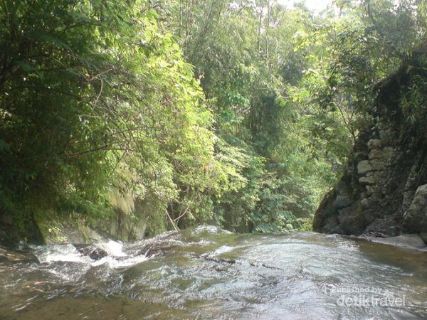 Pemandangan curug dari atas. Pemandangan curug atas.