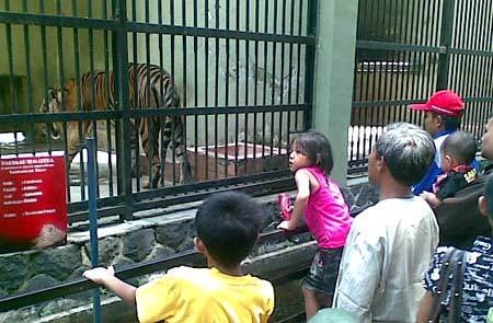 Libur Lebaran, Kebun Binatang Bandung Siapkan 130 Ribu Tiket