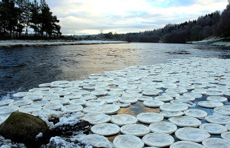 Keajaiban Alam, Muncul Piringan Es di Sungai Skotlandia