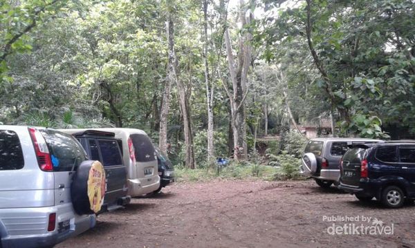 Lokasi parkir yang luas dan juga asri