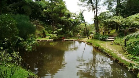 Melrimba Garden, Pilihan Destinasi Seru di Puncak Pass