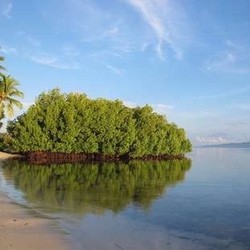 Raja Ampat Terpilih Sebagai The Best Destination Raja Ampat Terpilih Sebagai The Best Destination