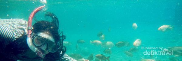 Snorkeling di Umbul Ponggok, Klaten Snorkeling di Umbul Ponggok, Klaten
