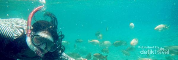 Snorkeling di Umbul Ponggok, Klaten