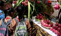 Festival Buah Asli Banyuwangi