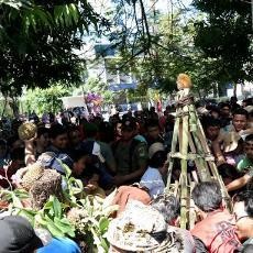Festival Buah di Banyuwangi Diwarnai Aksi Berebut Tumpeng Durian